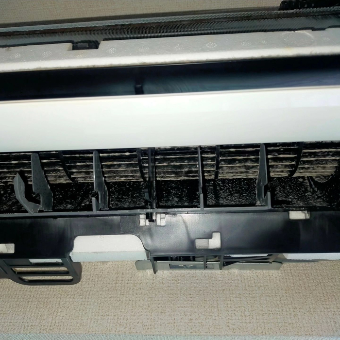 画像1259