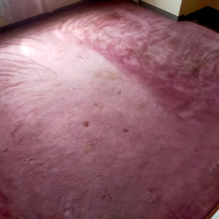 画像1299