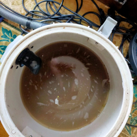 画像1309