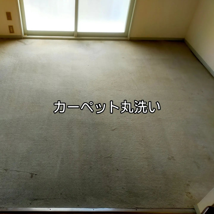 画像1370